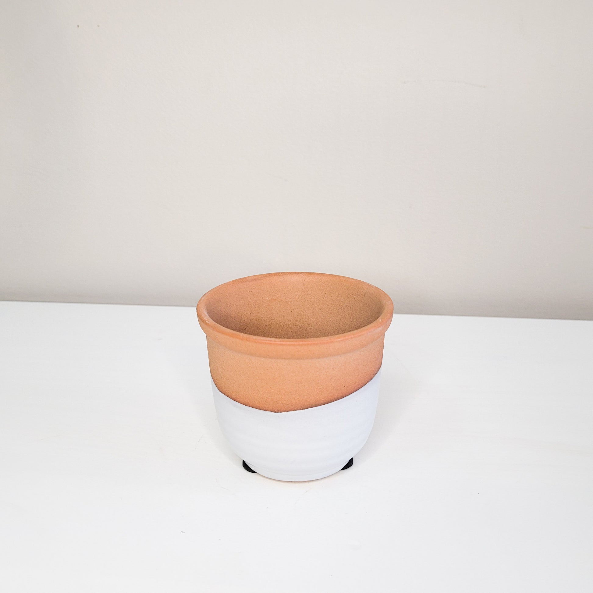 Two-toned Terracotta pot-ThePaintedLeaf