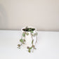 Ceropegia woodii Silver Glory - String of Hearts Silver Glory-plant-ThePaintedLeaf